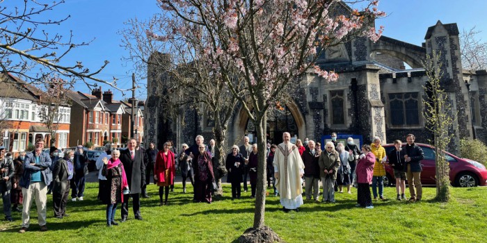 St Michael and All Angels Watford About us